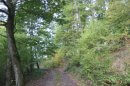 Bois de Russ